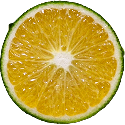 Green Tangerine